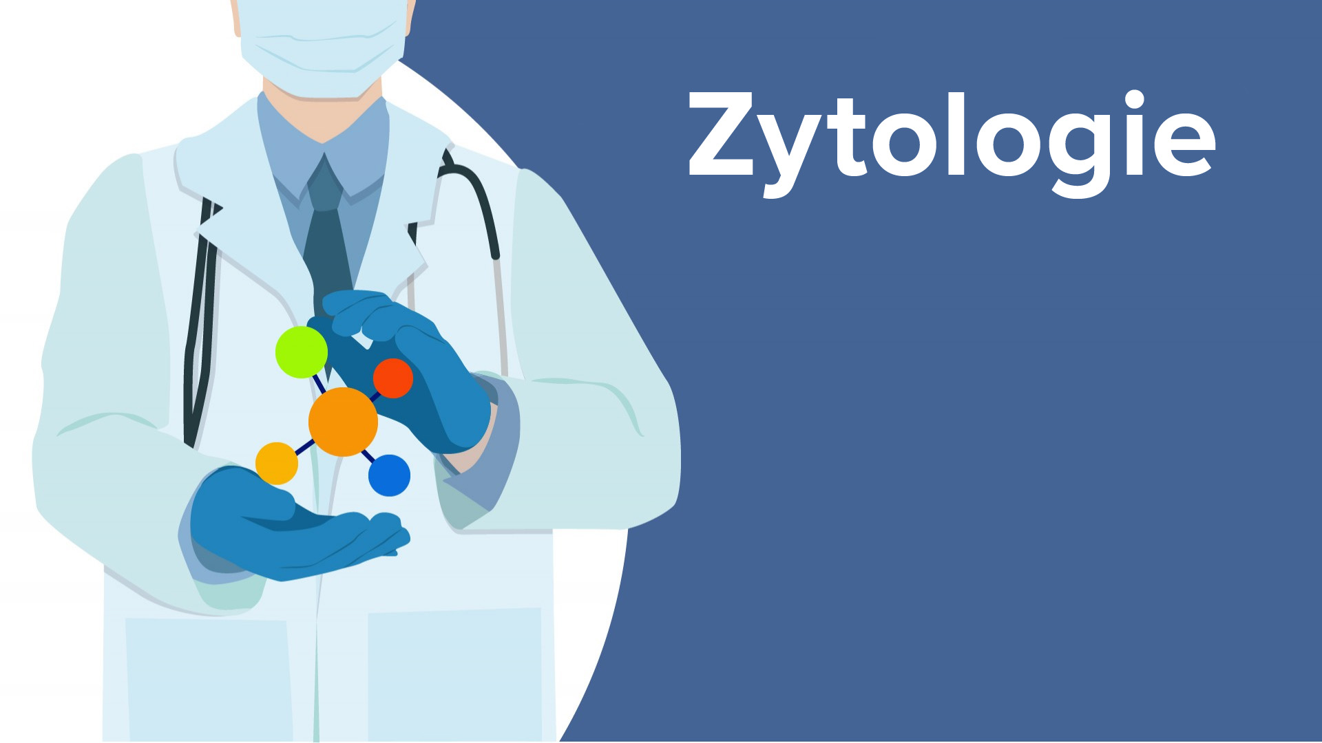 Funktionen Von Zellen Morphologie Zytoskelett Zytologie