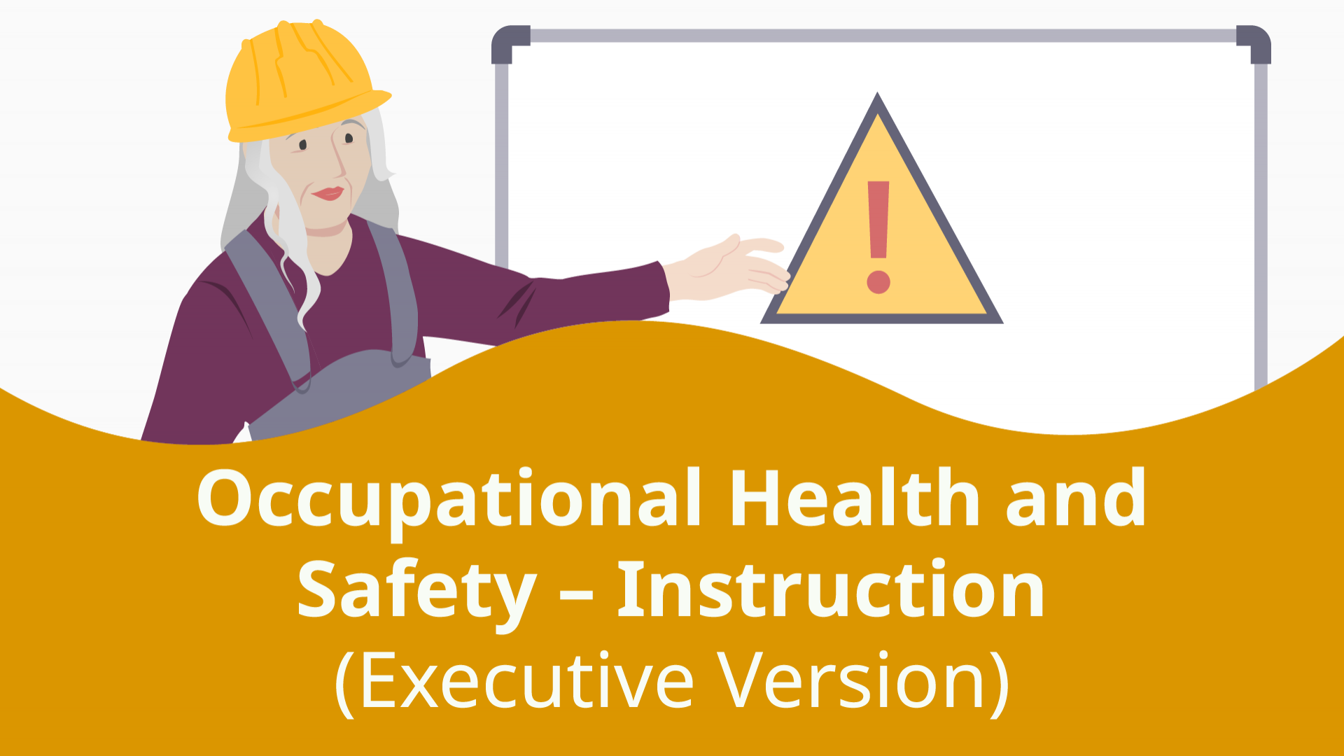 Occupational Health And Safety Instruction Executive Version