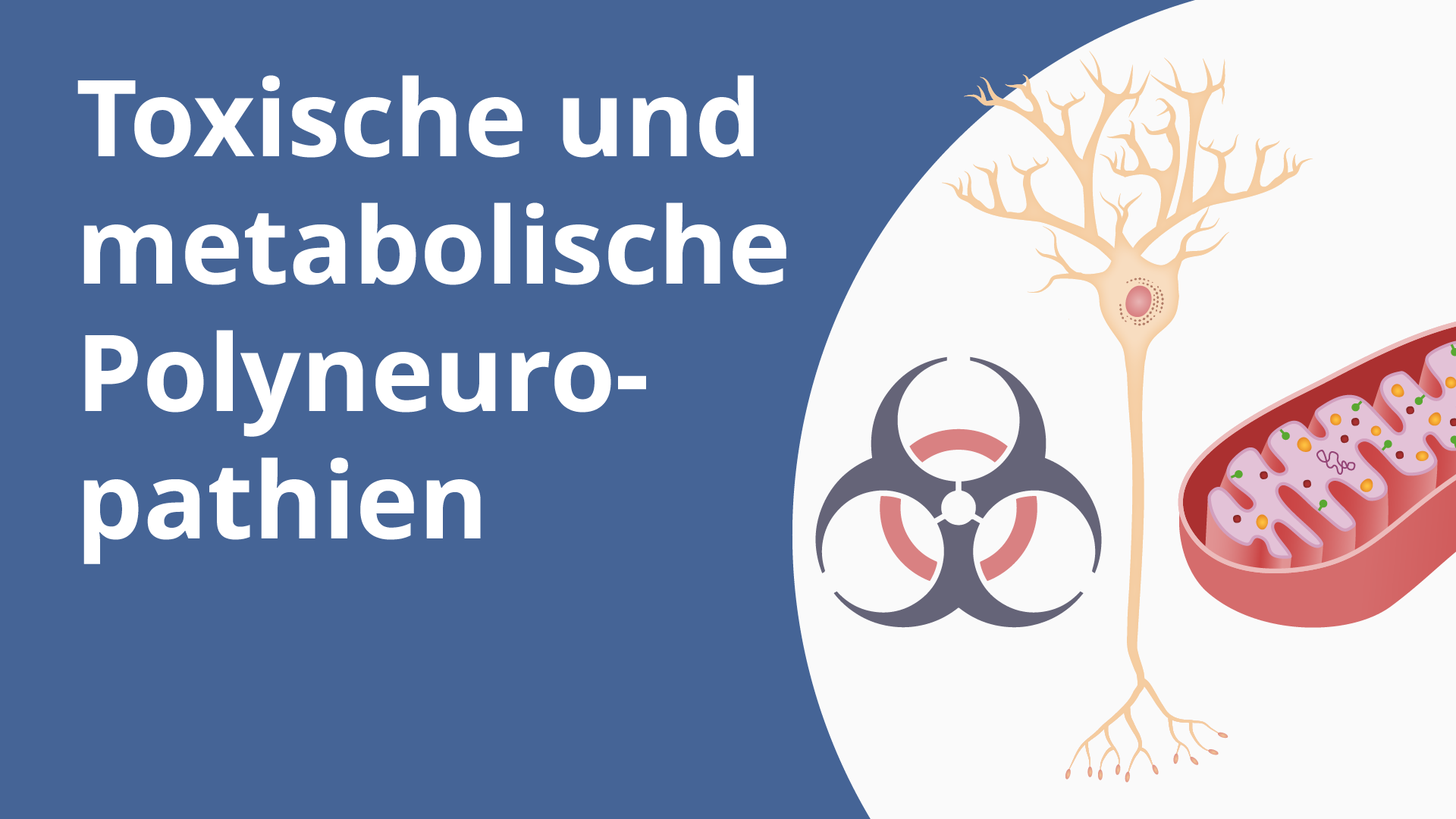 Fall: 59-Jähriger mit Diabetes mellitus – Online Vortrag