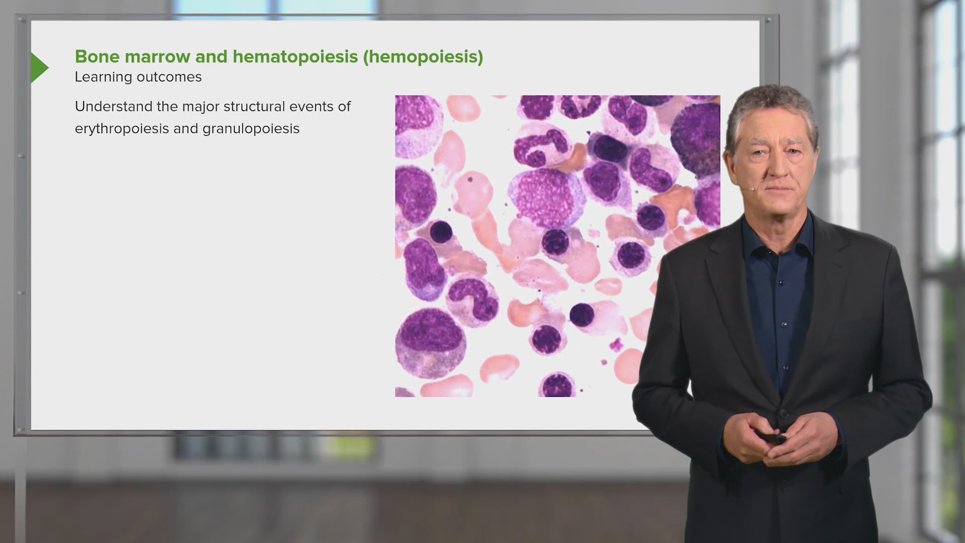 Bone Marrow Online Medical Course Lecturio