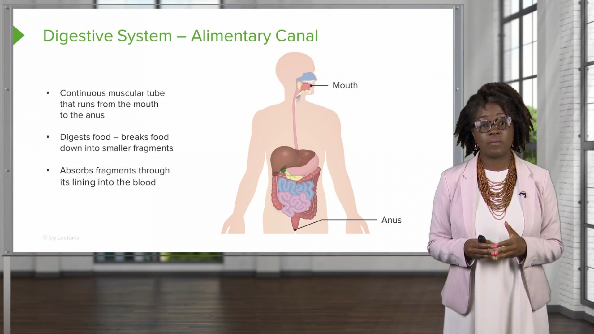 Gastrointestinal System – Nursing Video Course | Lecturio