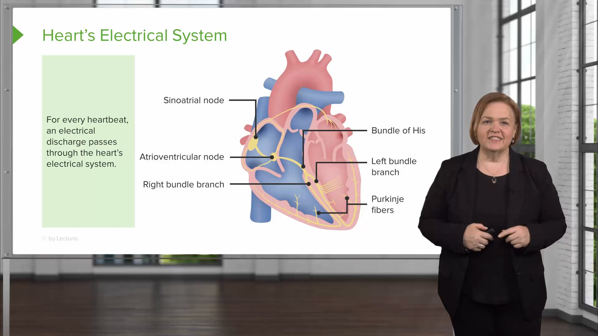 Cardiovascular Disorders Med Surg Nursing Video Lecturio