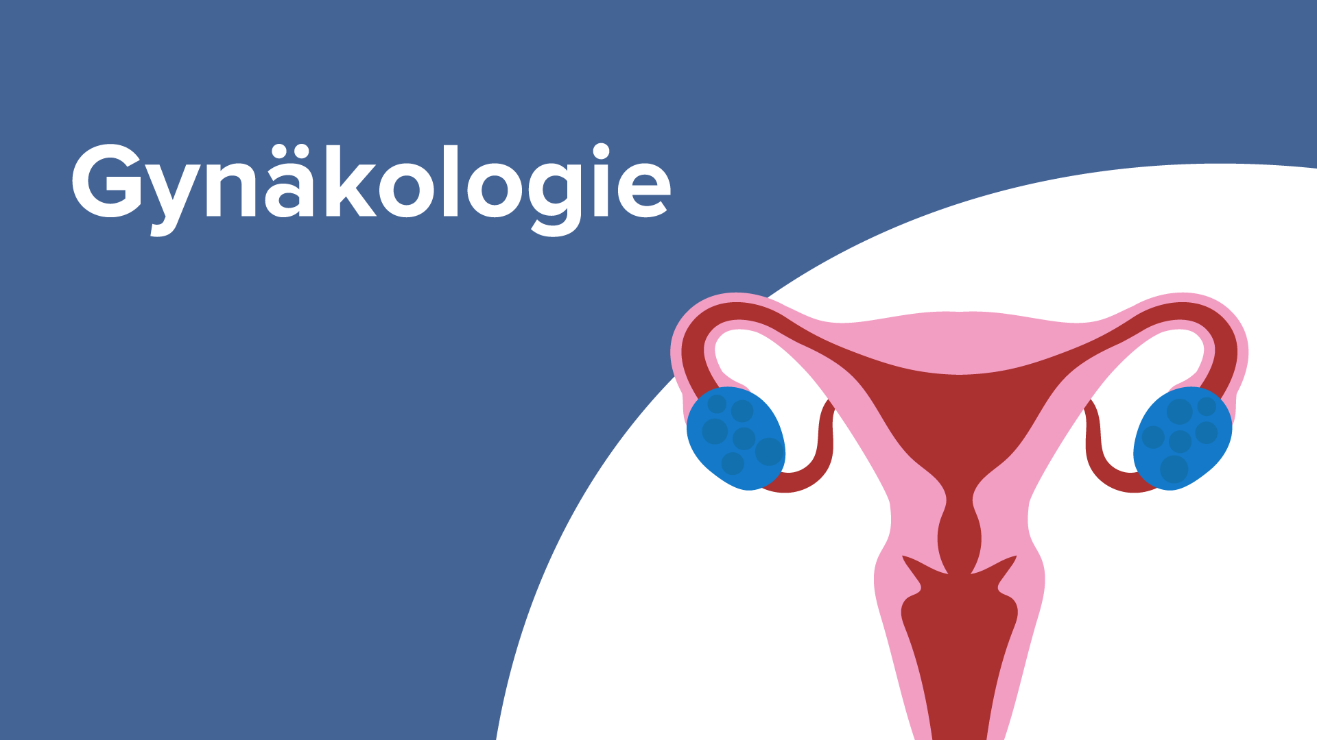 Gynäkologie Online Medizin Kurs Lecturio