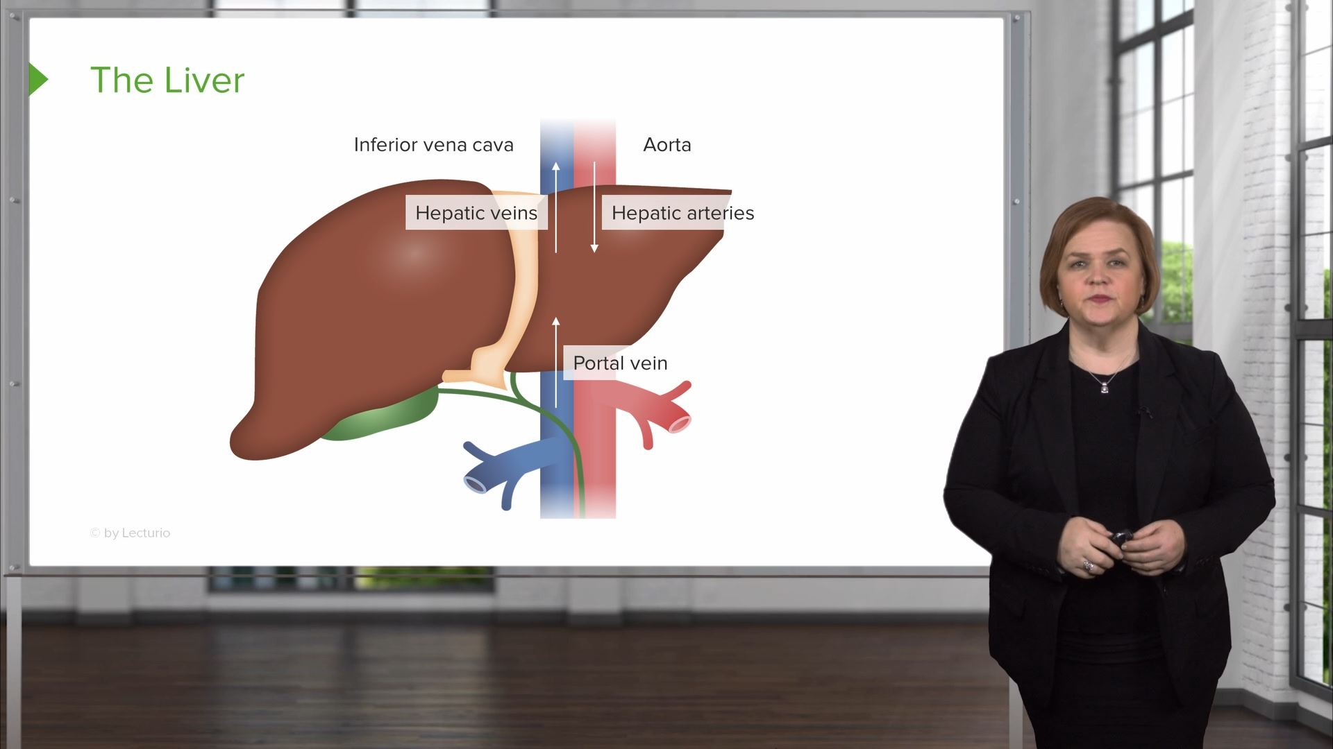 liver-functions-dysfunctions-med-surg-nursing-video