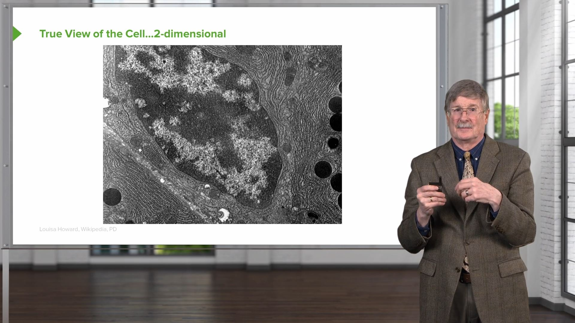 Cellular Housekeeping Functions Online Pathology Course