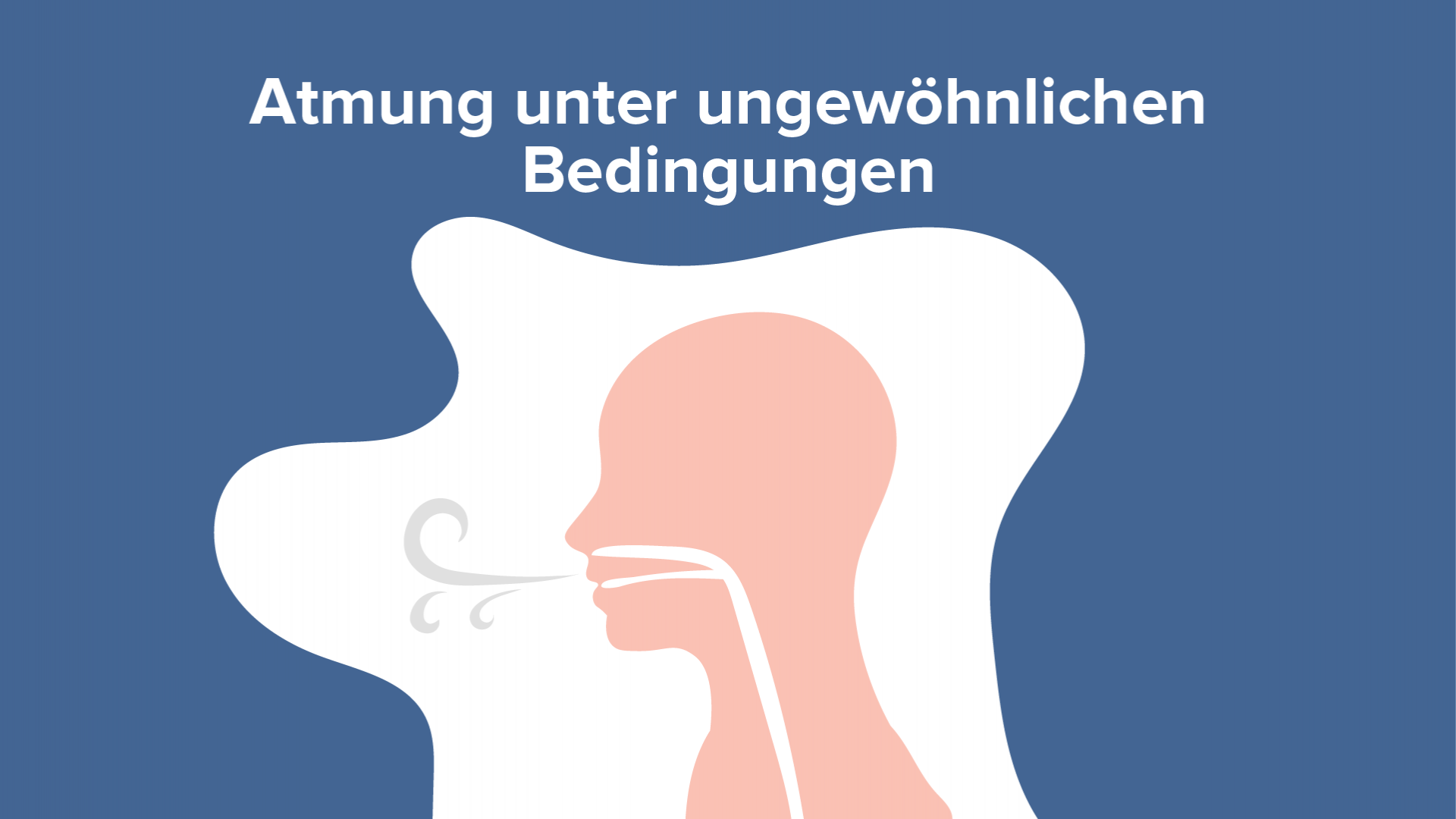 Grundzüge des Tauchens Online Physiologie Vorlesung