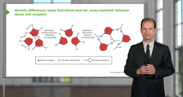 Hematology: Basics – Online Medical Course | Lecturio