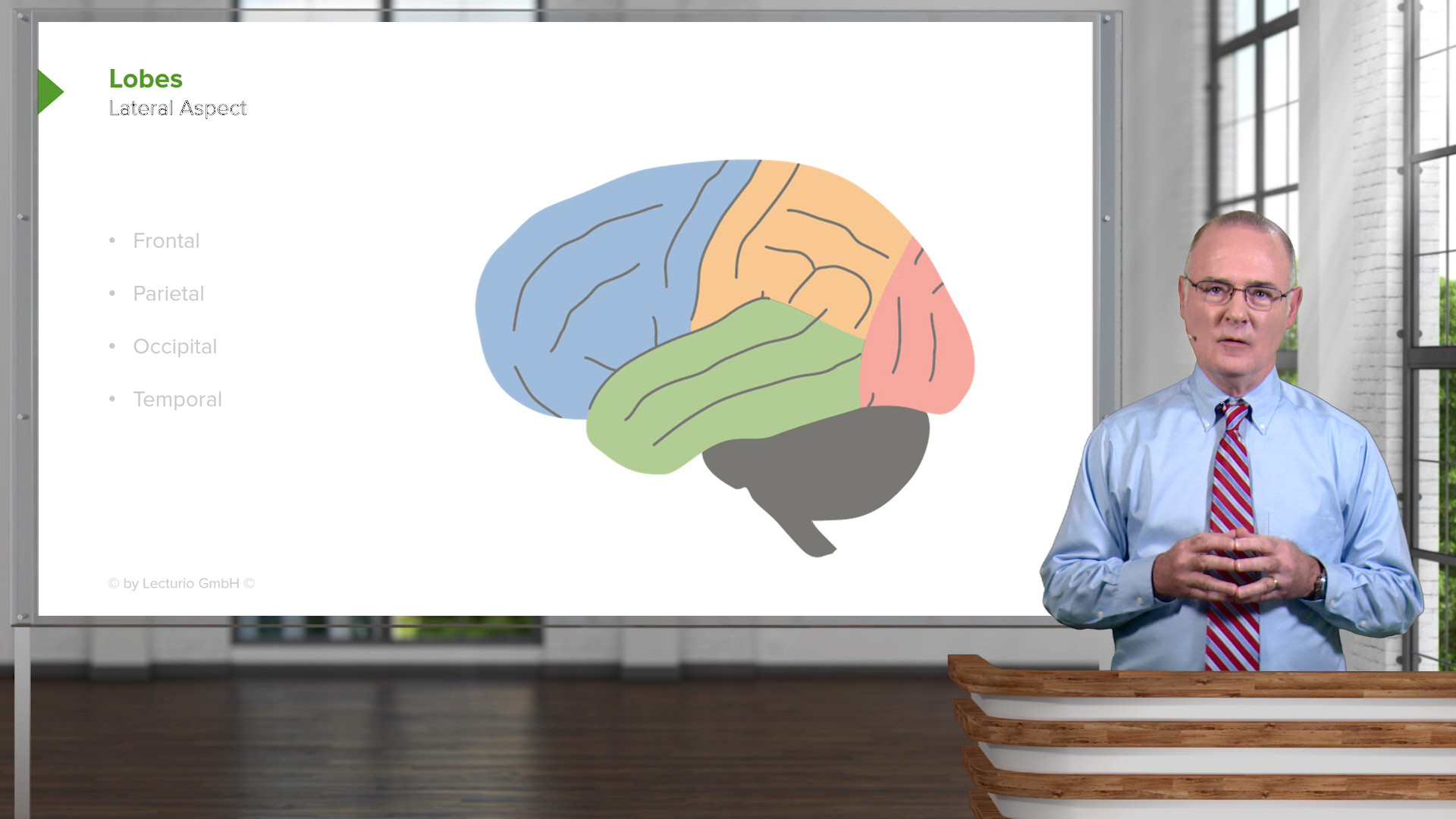 Cerebral Cortex Online Neuroanatomy Course Start for FREE!