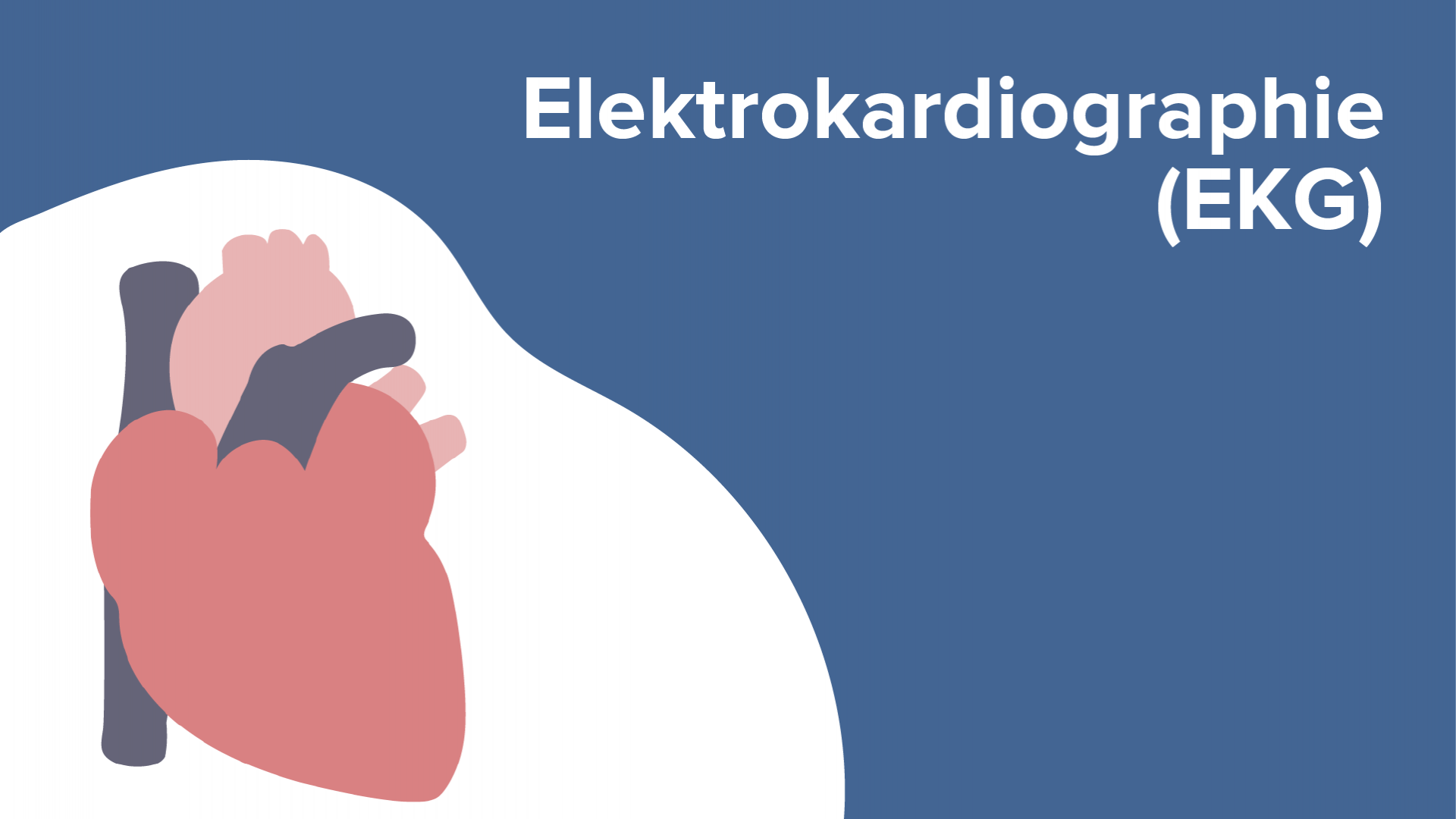 Elektrokardiographie (EKG) – Online Physiologie Kurs | Lecturio
