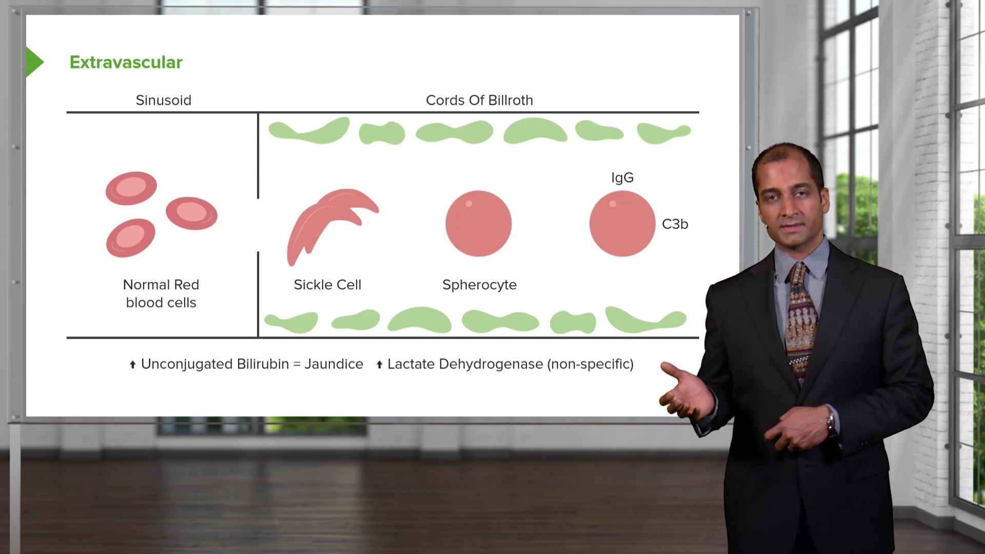 hemolytic-anemia-online-usmle-prep-course-lecturio