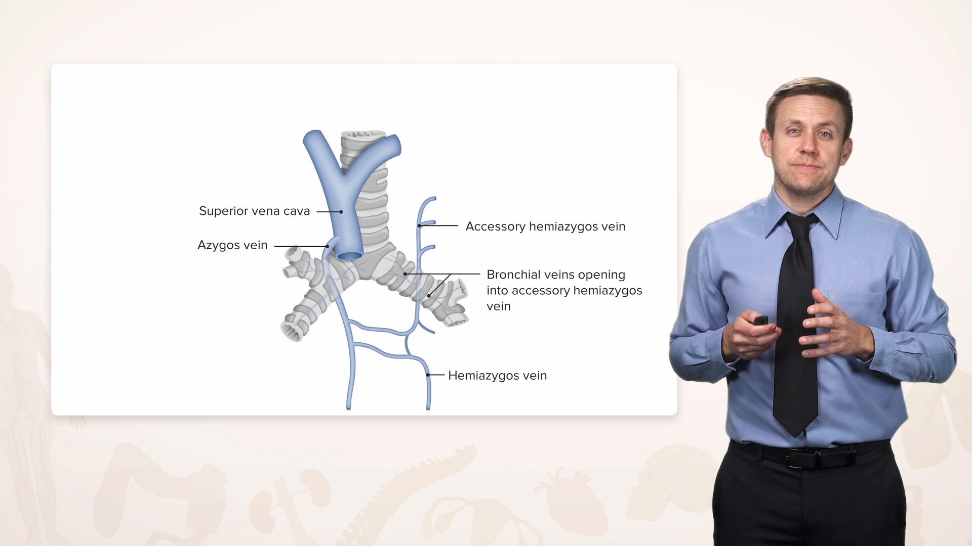 Respiratory Anatomy Online Medical Course Lecturio