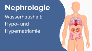 Wasserhaushalt: Hypo- und Hypernatriämie