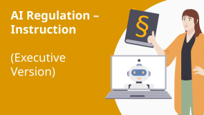 AI Regulation – Instruction (Executive Version)