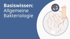 Basiswissen: Allgemeine Bakteriologie