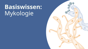 Basiswissen: Mykologie (release in progress)