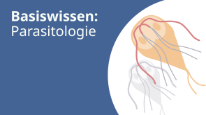 Basiswissen: Parasitologie (release in progress)