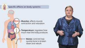 Thyroid Disorders (Nursing)
