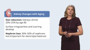 Age-related Physiological Changes (release in progress)