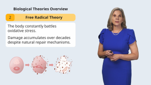 Theories of Aging (release in progress)