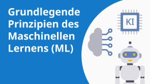 Grundlegende Prinzipien des Maschinellen Lernens (ML)