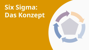 Six Sigma: Das Konzept