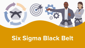 Six Sigma Black Belt