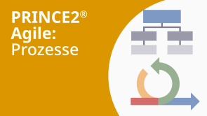 PRINCE2® Agile Practitioner:  Prozesse