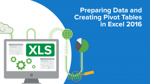 Preparing Data and Creating Pivot Tables in Excel 2016 (EN)