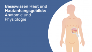 Basiswissen Haut und Hautanhangsgebilde: Anatomie und Physiologie