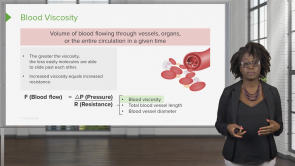 Cardiovascular System: Blood Vessels – Physiology (Nursing)