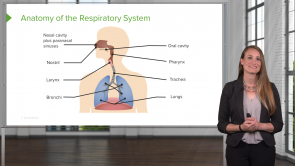 Respiratory Disorders – Pediatric Nursing