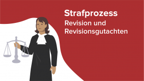 Strafprozess - Revision und Revisionsgutachten
