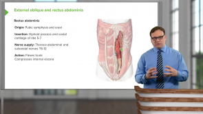 Ribs Diaphragm Anatomy/Fx (LMU OMS 1 Fall Osteopathic Principles and Practices I Week 9)