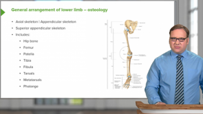 Leg / Ankle (LMU OMS 1 Fall Medical Gross Anatomy Week 12)