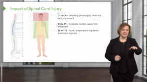 Spinal Cord Injuries and Syndromes (Nursing) 