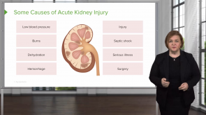 Renal and Urinary Disorders – Med-Surg Nursing