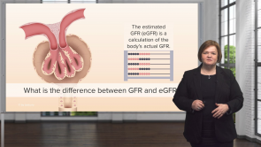 Glomerular Filtration Rate (GFR) – Renal Assessment (Nursing)