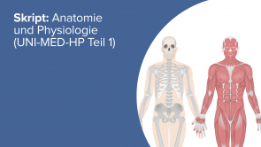 Skript: Anatomie und Physiologie (UNI-MED-HP Teil 1)