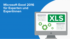 Microsoft Excel 2016 für Experten und Expertinnen