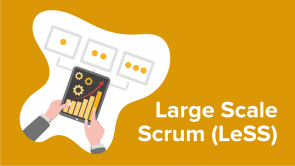 Large Scale Scrum (LeSS)