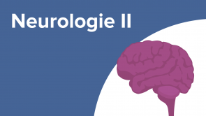 Neurologie II