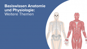 Basiswissen Anatomie und Physiologie: Weitere Themen