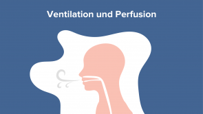 Ventilation und Perfusion