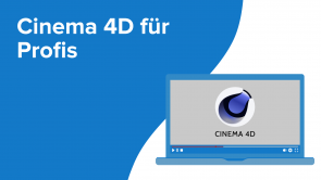 Cinema 4D für Profis