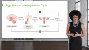 Menstrual Cycle (Nursing)