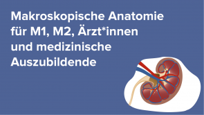 Makroskopische Anatomie für M1, M2, Ärzt*innen und medizinische Auszubildende
