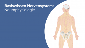 Basiswissen Nervensystem: Neurophysiologie
