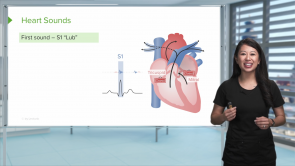 Assessment of the Cardiovascular System (Nursing)
