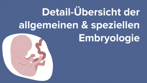Detail-Übersicht der allgemeinen & speziellen Embryologie