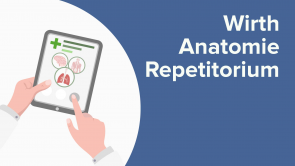 Wirth Anatomie Repetitorium
